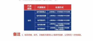 重慶軟件開(kāi)發(fā) 打造高效便捷的品佳人代理下單系統(tǒng)